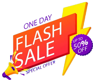 flashsale logo for website